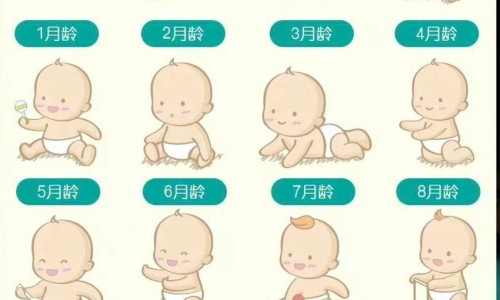 天津格林国际幼儿园学费-中药佗曾网 :分享14油耗投多少钱一公里-朝晖一区二手房知识